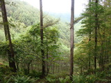 DSC00244