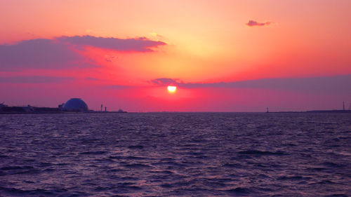 P1090440_edited-1