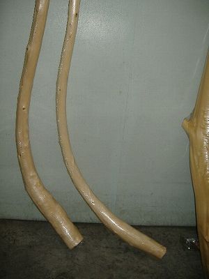 DSCF2558