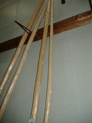 DSCF2524