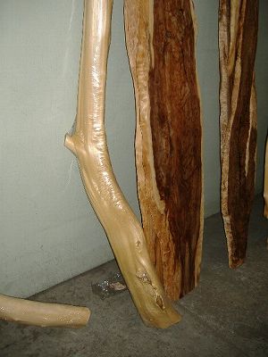 DSCF2560