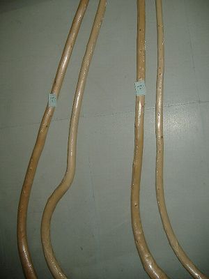 DSCF2527