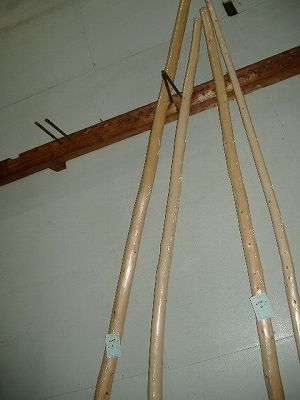 DSCF2526