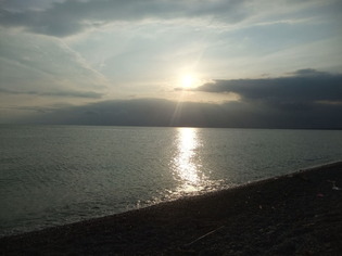 DSCF9233