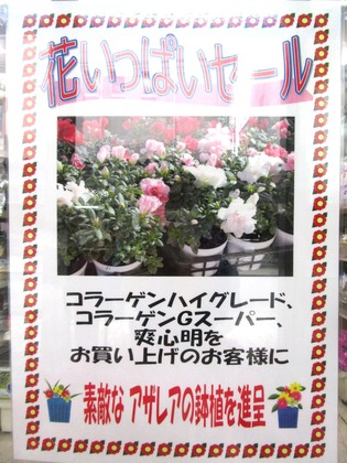 ポスター