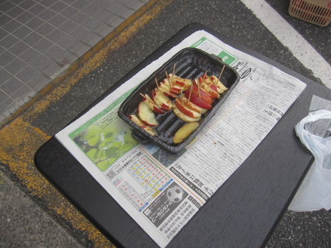 埼玉薪ストーブ