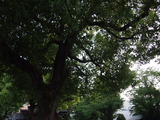 P4298604