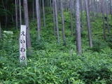 P7096945