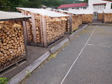 P7097037