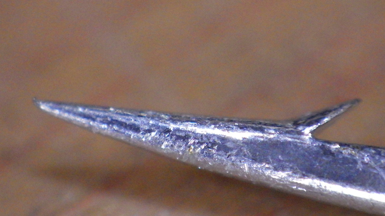 RIMG0355
