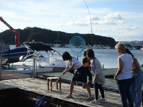 P8140544