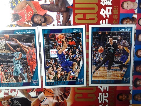 2017-2-b-8 Charlotte Hornets