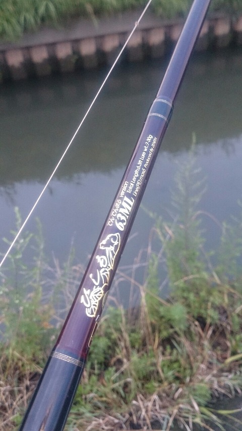 ひしも 雷魚ロッド ゼニス