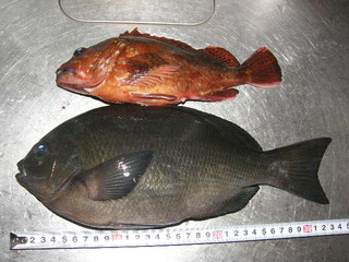 P1010298