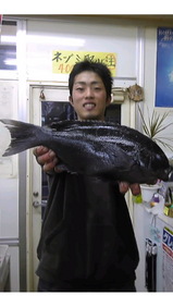 SH3B00050001