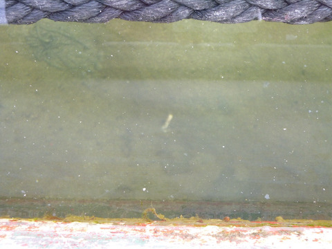 20120417_06