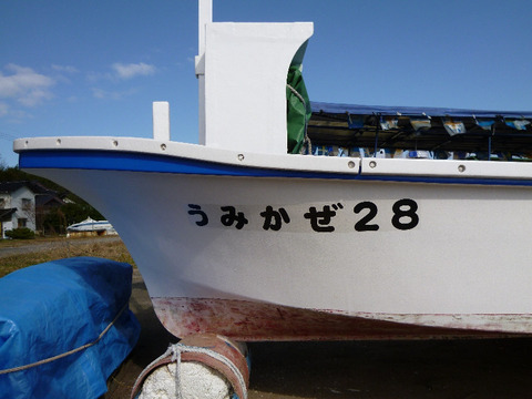 船名ステッカー水産合羽和船船底塗料漁船登録番号刺し網救命胴衣漁業 船名ステッカー水産合羽和船船底塗料漁船登録番号刺し網救命胴衣漁業