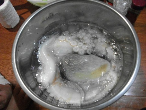 tako (1)