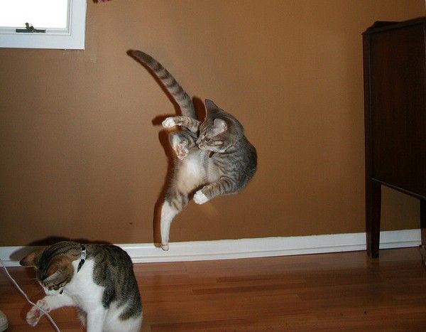 ȋȑq part 2 [f]ڋ֎~]©bbspink.com	->摜>4494 