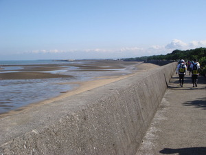 DSC07314
