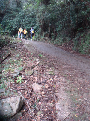 DSC07327
