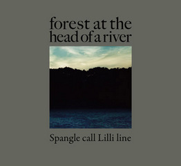 scll_forest