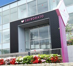 shirohato
