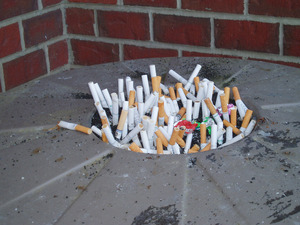 cigarette-butts-1357334227yOW