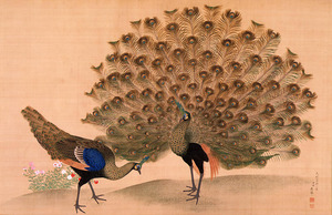 Okyo_Peacock_and_Peahen