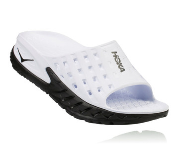 s-1014864_BWHT