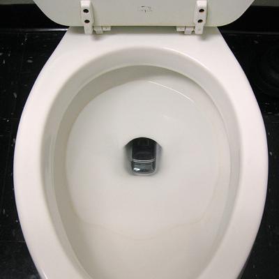 070606phoneInTheToilet