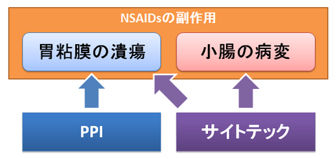 サイトテックの作用~胃粘膜と小腸病変