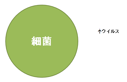 細菌とウイルス1~大きさ