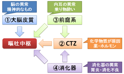 吐き気の原因による分類~嘔吐中枢を刺激する経路