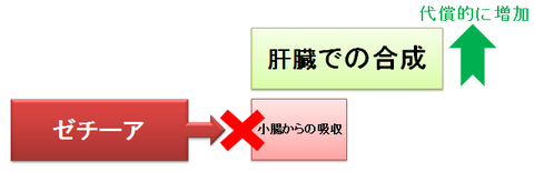 ゼチーアとスタチン~代償的な増加2