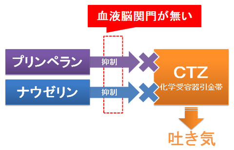 ナウゼリンとプリンペラン~血液脳関門のないCTZ