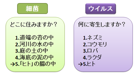 細菌とウイルス4~感染目的