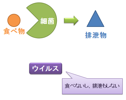 細菌とウイルス2~食べ物と排泄