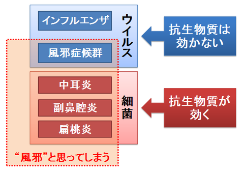 風邪と抗生物質~ウイルス性の感染症と細菌性の感染症