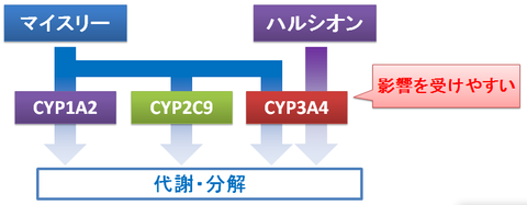マイスリーとハルシオン~相互作用