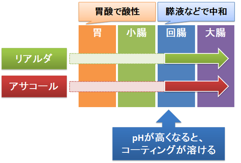 リアルダとアサコール~大腸へのDDS