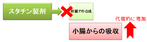ゼチーアとスタチン~代償的な増加1