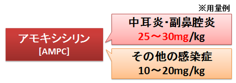 アモキシシリンの用量~中耳炎と副鼻腔炎に対する高用量