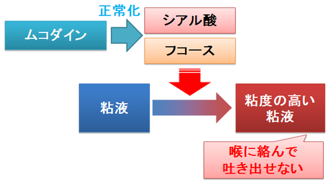ムコダイン~シアル酸とフコース比の正常化