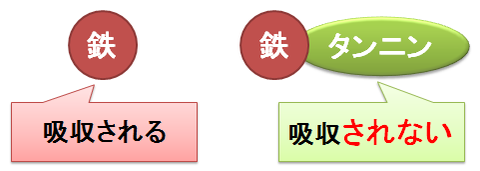 鉄とタンニン2