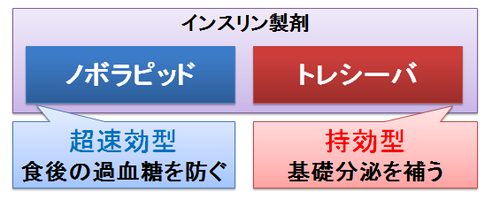 ノボラピッドとトレシーバ