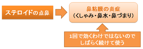 ステロイドの点鼻~目的と即効性