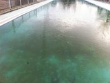IMG_0569