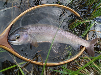 P5300250
