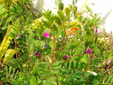 9b6f5867.jpg